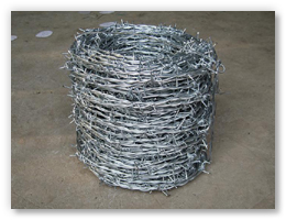 Barbed Wire
