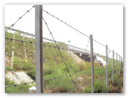 Barbed Wire