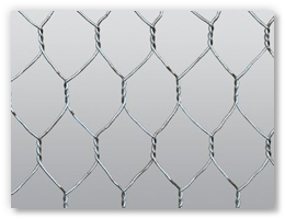 Hexagonal Wire Netting