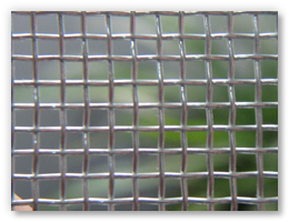 Galvanized Square Wire Mesh